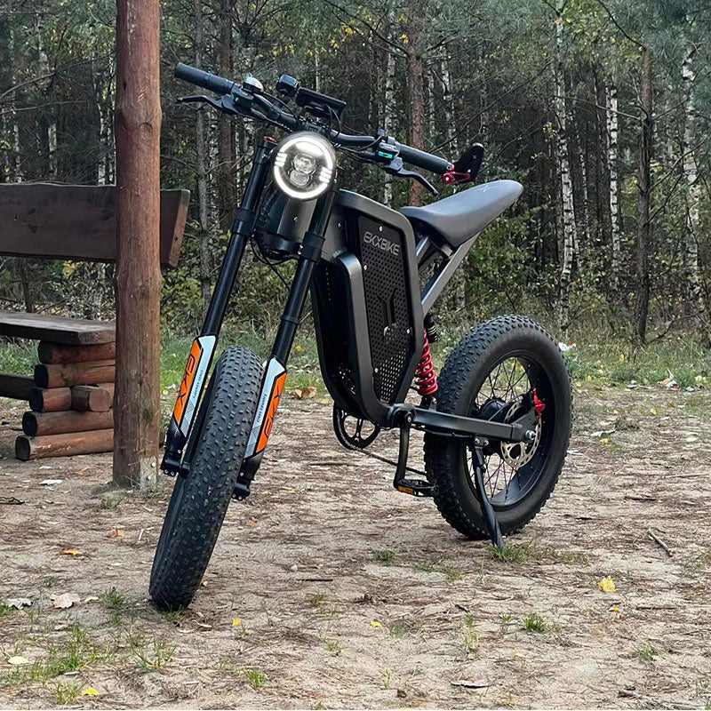 EKXBike X21 Adults Electric Bike 2000W 48V35AH 55km/h Samsung Battery Snow Electric Motorcycles 20“*4.0 Off Road Tyre Mountain Ebike